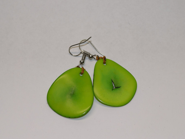 Boucle d'oreille Ivoir Végétale